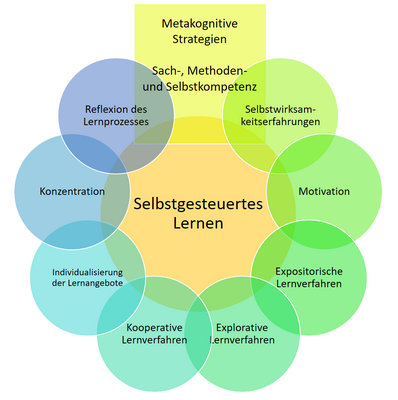 Es werden die angrenzenden Bereiche des Selbstgesteuerten Lernen dargestellt